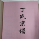 0004.丁氏宗譜 [不分卷]